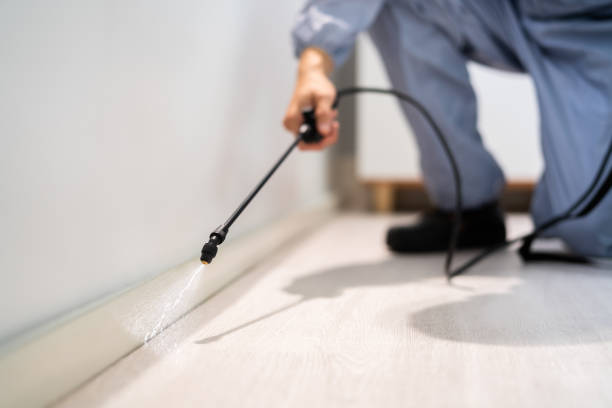 Licensed Mosquito Control service in Charles City, IA - Show Me Pest Control