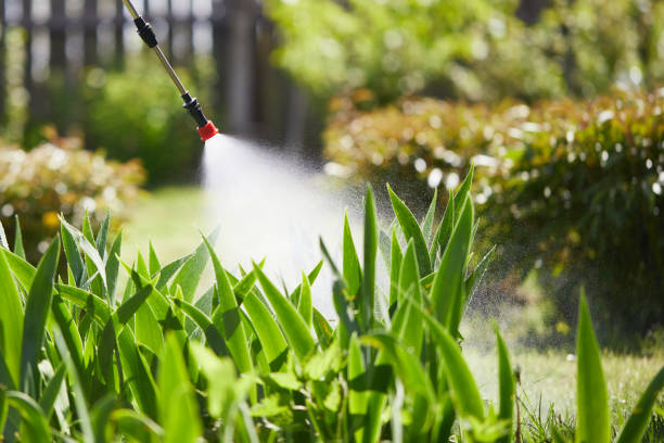 24/7 Emergency Mosquito Control experts in Charles City, IA