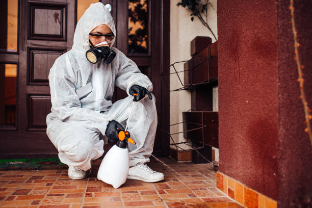 Reliable Mosquito Control contractor in Charles City, IA by Show Me Pest Control