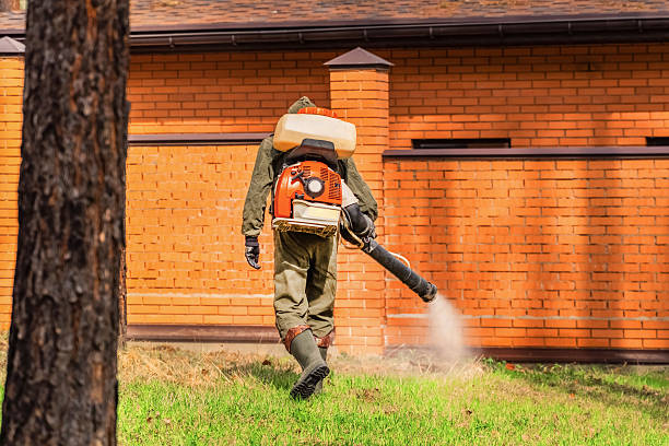 Top rated local Mosquito Control specialists in Charles City, IA
